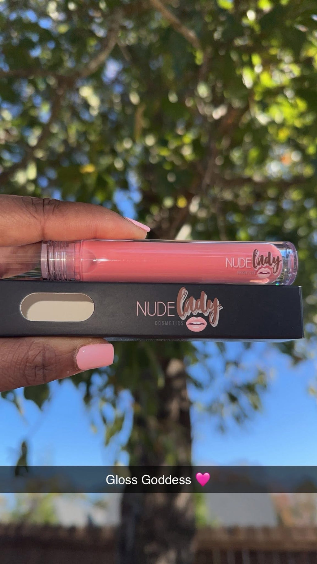 Nude Lady Lipgloss | Lux Premium Beauty Series