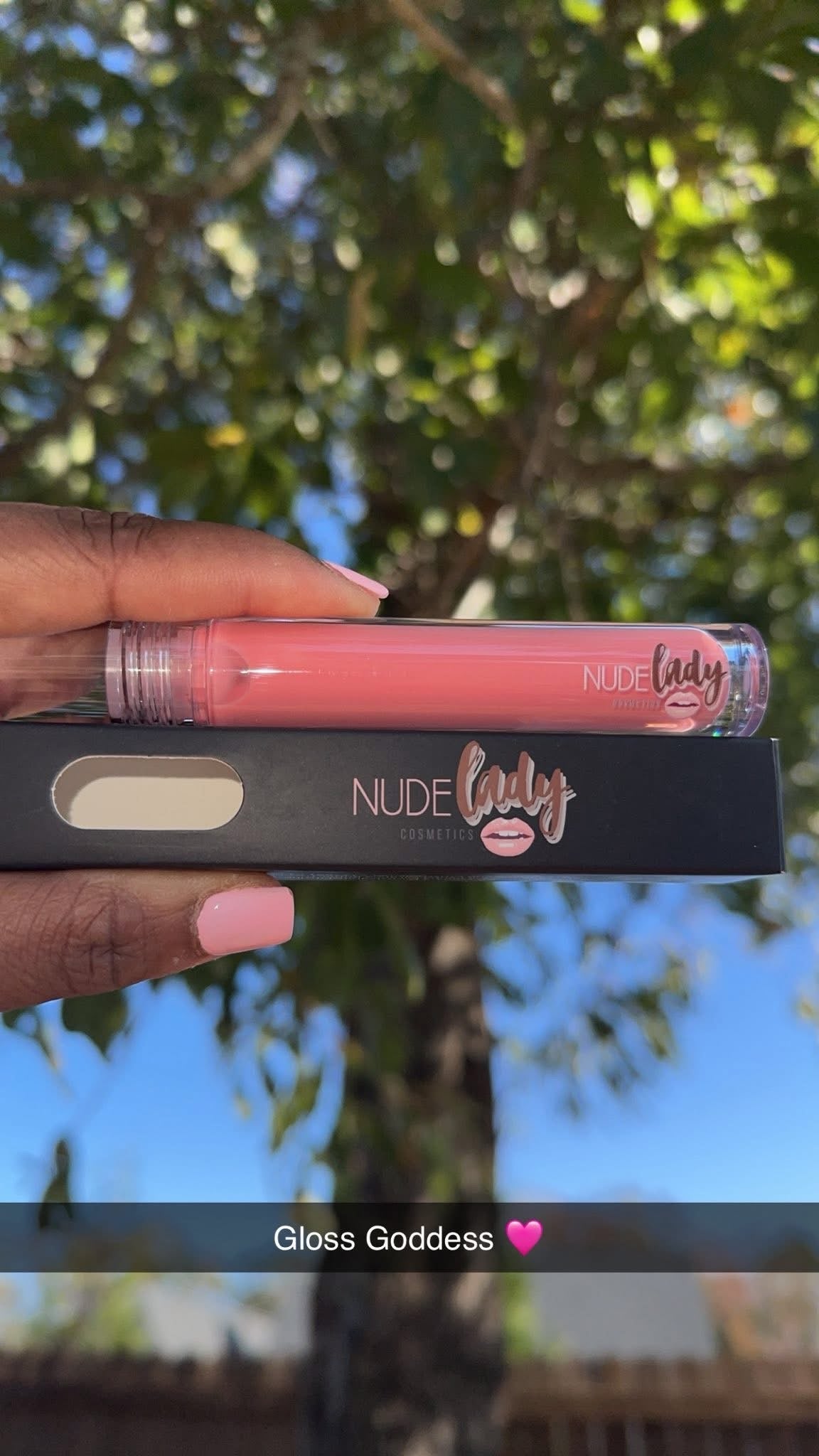 Nude Lady Lipgloss | Lux Premium Beauty Series
