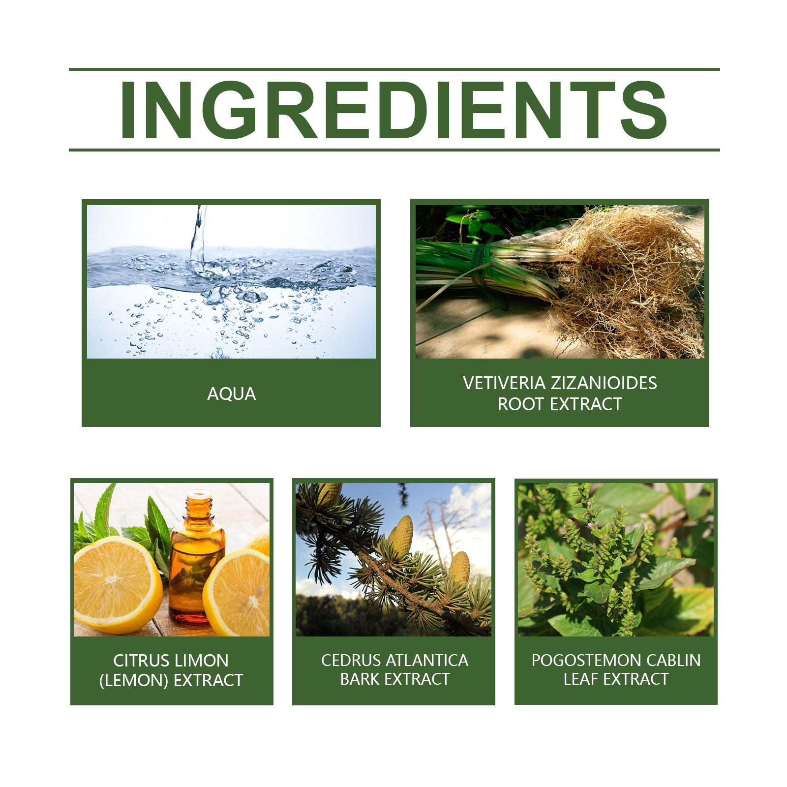 Roxelis Vetiver Perfume